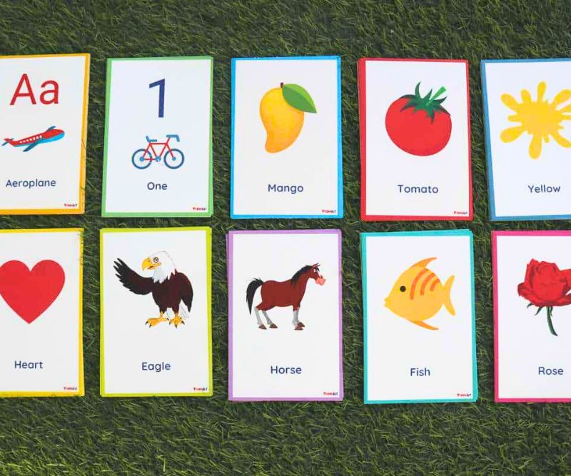 Flashcards