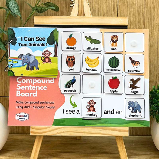 Sentence Building Boards - Set of 6 Laminated Boards for Speech and Language Development