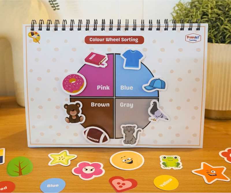 Colour Shapes Playbook (Level 1)