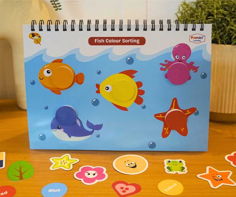 Colour Shapes Playbook (Level 1)