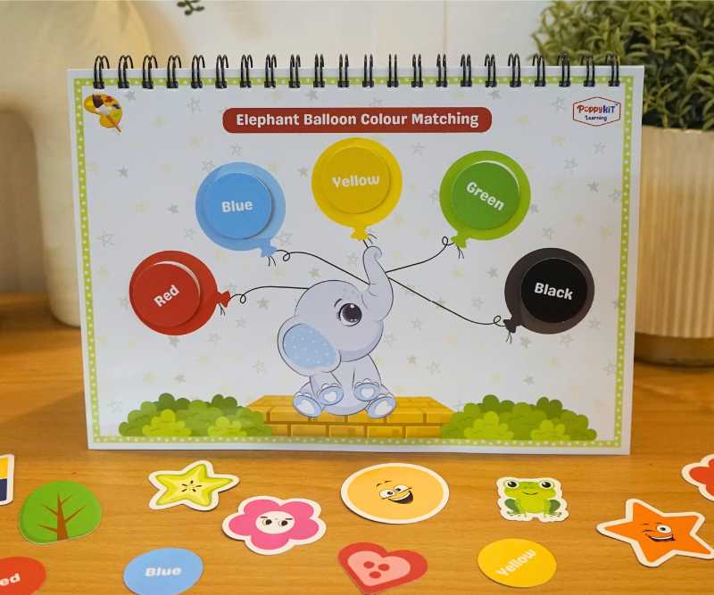 Colour Shapes Playbook (Level 1)
