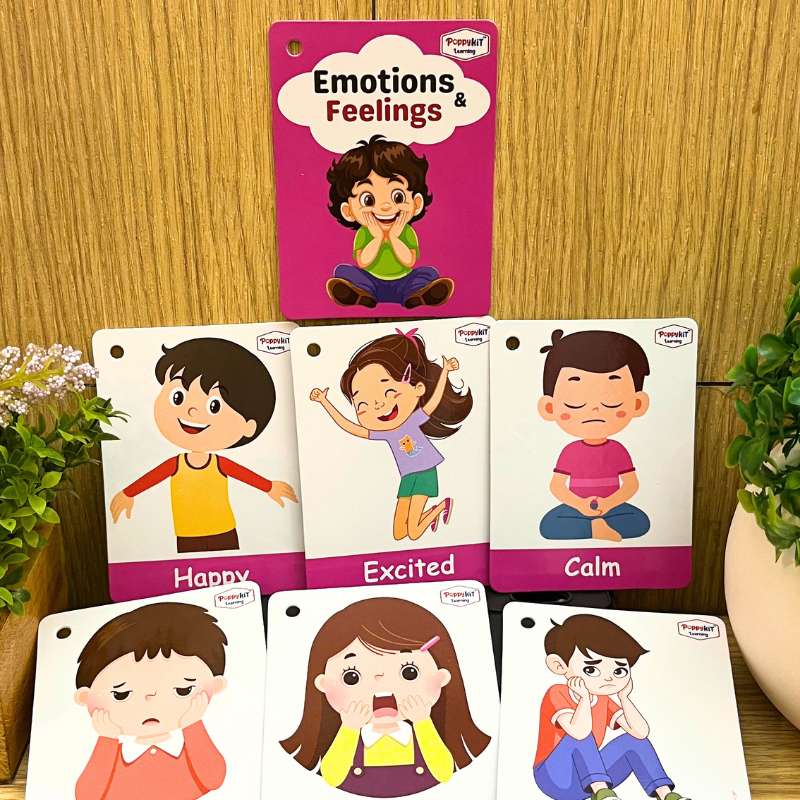 Communication Cards - Set of 100 Cards (Laminated) on Daily Routine, Communication, Emotions, Places, Characters, Outdoor Safety