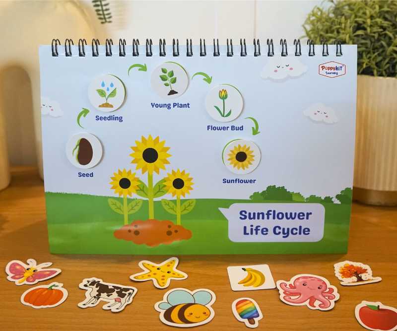 Level 2 Combo - Three Activity Playbooks Set - EVS, Logical, GK Playbooks