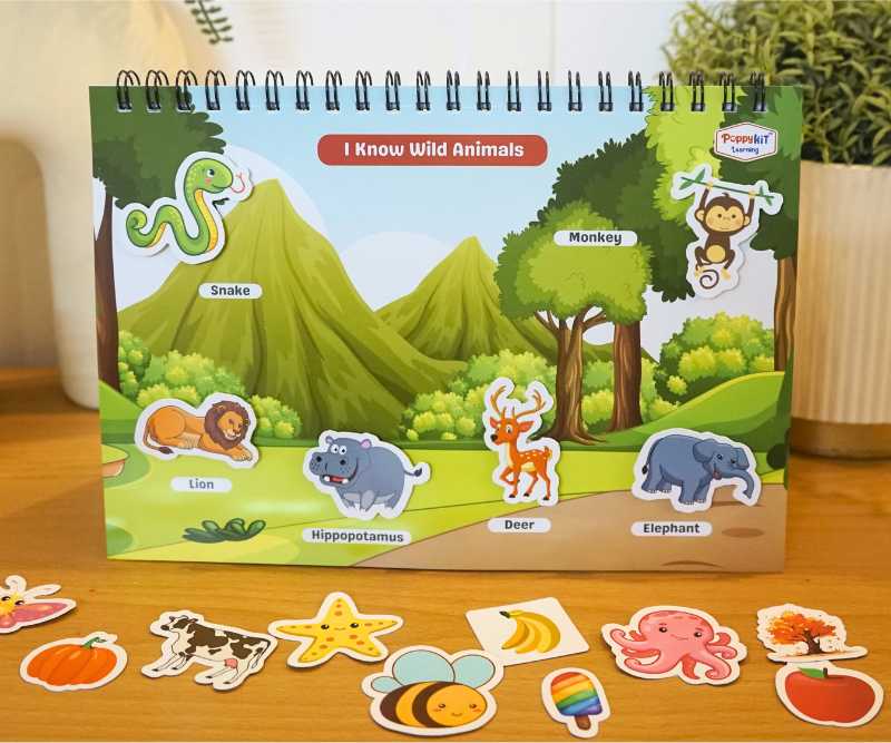 Level 2 Combo - Three Activity Playbooks Set - EVS, Logical, GK Playbooks