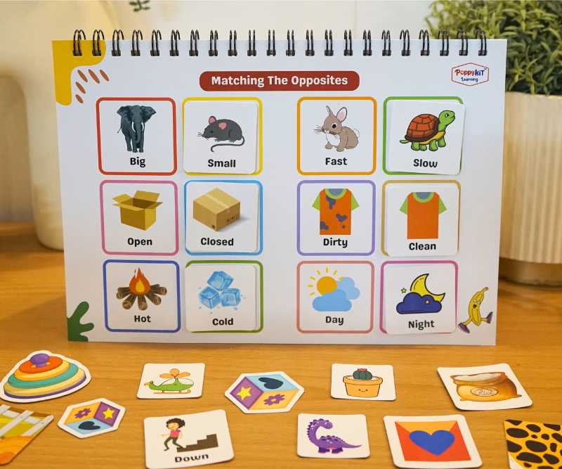 Logical Playbook (Level 2)