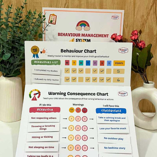 Behaviour Management System + Coping Skills Toolkit for Improving Behaviour and Self Regulation
